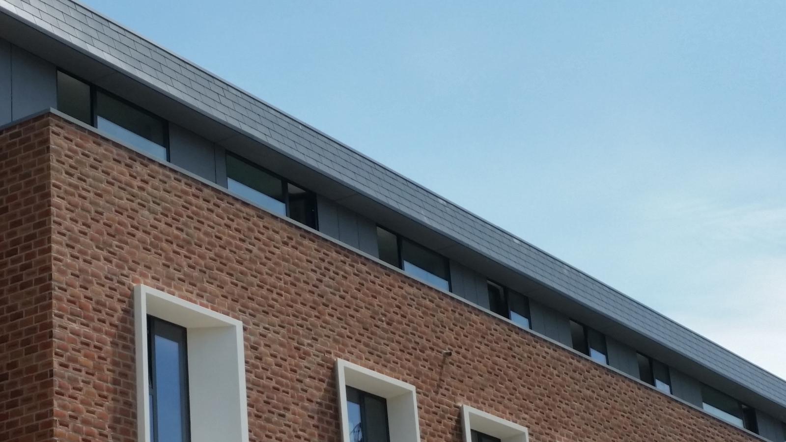 D&D Dakwerken leien + zinkwerk