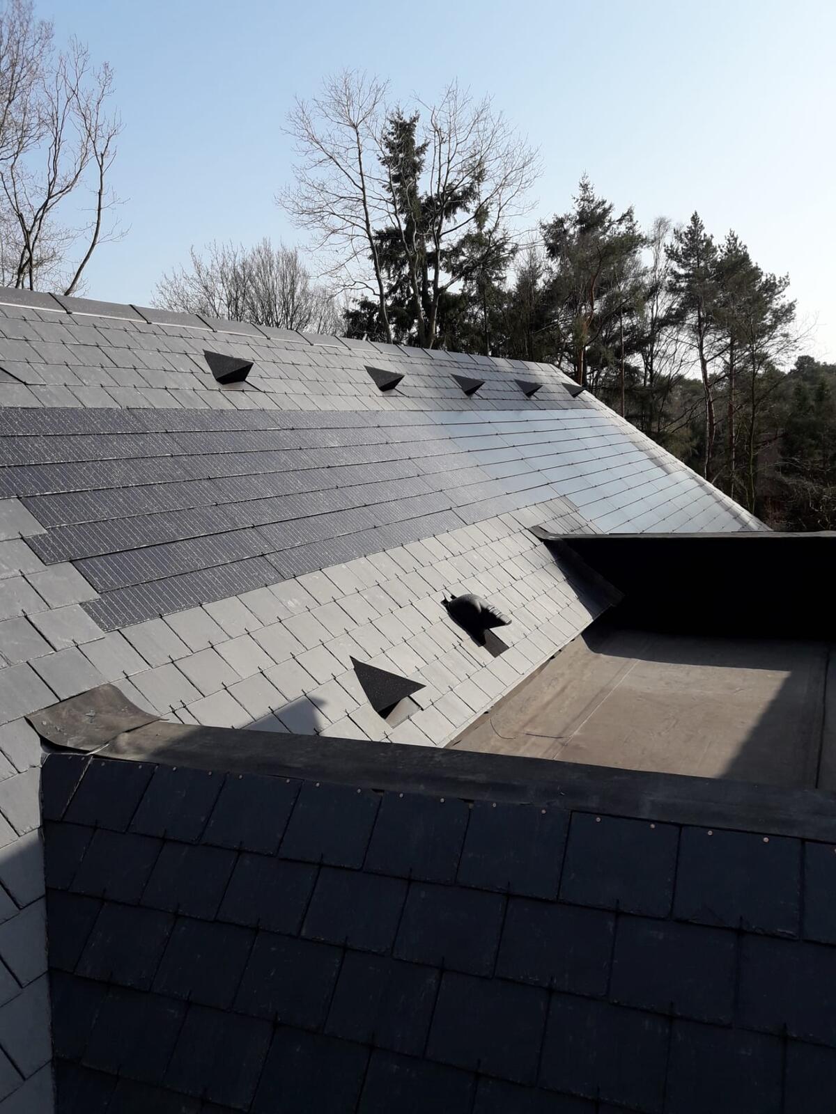 dddakwerken - nieuwbouw - natuurleien