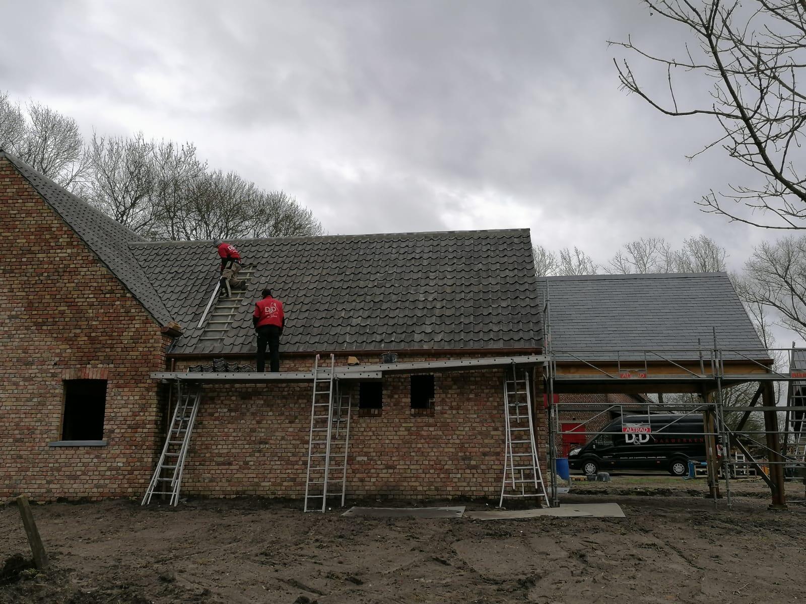 d-ddakwerken - nieuwbouw - boomse pannen - Veldegem