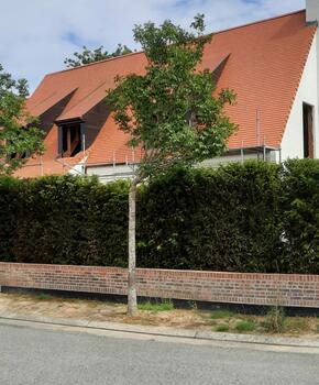 dddakwerken - renovatie - tegelpan 301 natuurrood