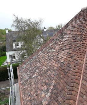 dddakwerken - renovatie - Bourgondische Tegelpannen
