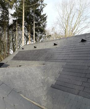 dddakwerken - nieuwbouw - natuurleien